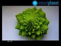 smart planet