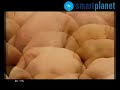 smart planet