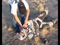 Nitro cirus ktm crash