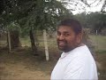 Govardhan Parikrama: Big Half, Western Side (From Punchari back to Dan Ghati)