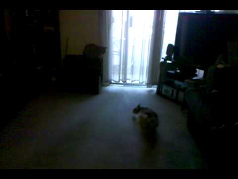See video