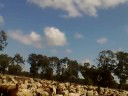 06112008013.mp4 06112008013.mp4