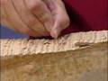 Taylor Guitars: Maple