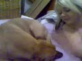stef n gyp fart