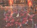 Final Fantasy 10 - Yuna Sending