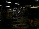aalsmeer,dunco,humenne