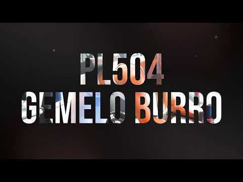 Vídeo YouTube Gemelo Burro
