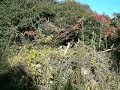 瑞鶴荘 2007.12.09