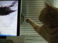 videos de Mocha DVD1