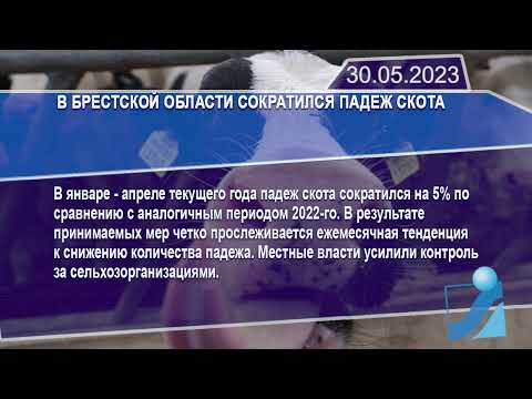 Новостная лента Телеканала Интекс 30.05.23.