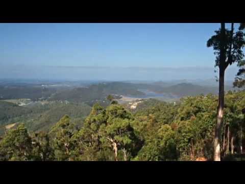 266 Freemans Road, Lower Beechmont, Qld 4211