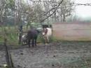 monbe en pridi