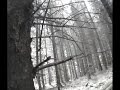 MARUSHIN GARAND, DBOYS SPR POW AIRSOFT SCOTLAND