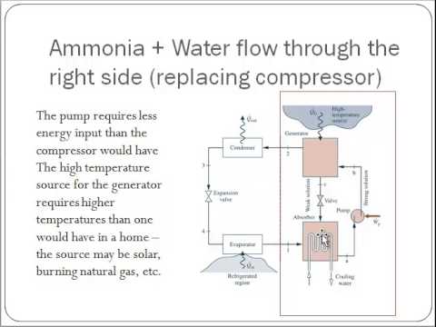 how to cure ammonia