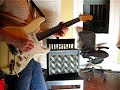 C.F. Martin 1x10 amplifier like Dearmond...with Strat