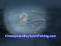 Chesapeake Bay Sport Fishing, LLC