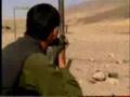Mumia Abu-Jamal -- Insights into a Terrorist-Supporting Coun
