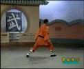 Traditional Shaolin Boxings Collection 3