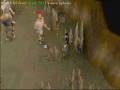 videos de runescape test vid