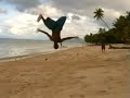 Papua I love You
