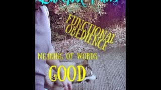 Functional Obedience - Good