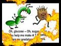 Glucose Song Glucose Song