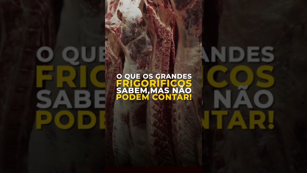 O QUE OS GRANDES FRIGORÍFICOS SABEM, MAS NÃO PODEM CONTAR!