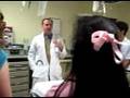 dr jones_1