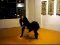 Ninjutsu Bujinkan Brasil - Fudo Myo Mayadish Dojo