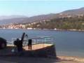 Preluka - lisica, rejv i nis surf spljoh