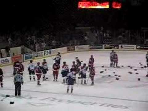 Elmira Kalamazoo Bench Brawl