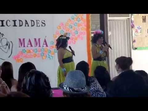panochas