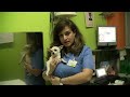 video-thumb