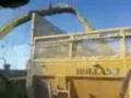 videos de A l ensilage o cham.mp4
