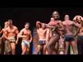 North Americans - Pro Posedown