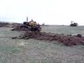 TD 20 & D7 bulldozers