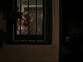 GHOST CAUGHT OUTSIDE A WOMANS HOME!! GHOST CAUGHT OUTSIDE A WOMANS HOME!!