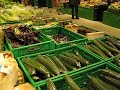 French Supermarket.avi French Supermarket.avi