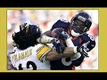 The Troy Polamalu Tribute The Troy Polamalu Tribute