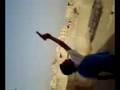 FIRR IN GULISTAN-E-JOHOR A