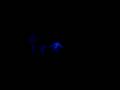 videos de WINTER CAMP 2008 -  Black Light Theater Part 1