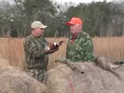 S.E. GA Pheasant Shoot