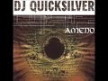 one of the most beautfifull mixes from dj quicksilver