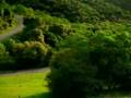 Ver Video
