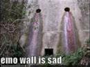 funny pics 1 1/2 funny pics 1 1/2