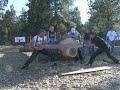 Logger Sports Larry Heustis & Derek Pouchnik Cross Cut Saw