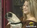 Perro amoroso