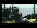 Sea Shepherd Conservation Society :: Japanese Whaling Research – The Pretender (by Pots5150) 