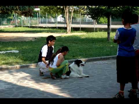 Guarda il video >> Guarda il video >>