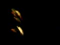 Nephew - Hvidt P� Sort (Live At KB Hallen)